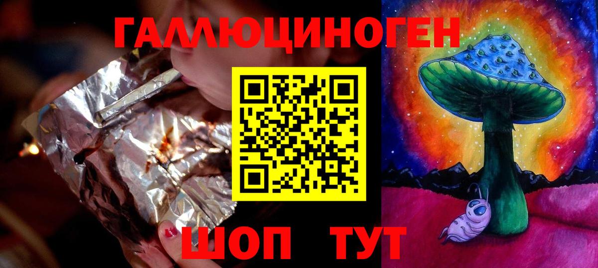 Псилоцибиновые грибы Psilocybine cubensis Ессентуки