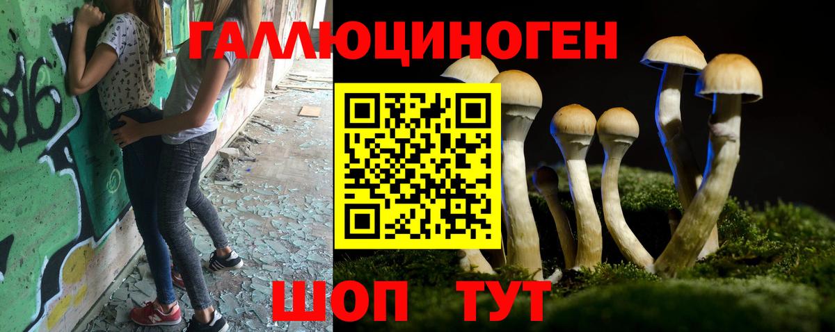 Галлюциногенные грибы Psilocybine cubensis  Вход с VPN  Ессентуки 