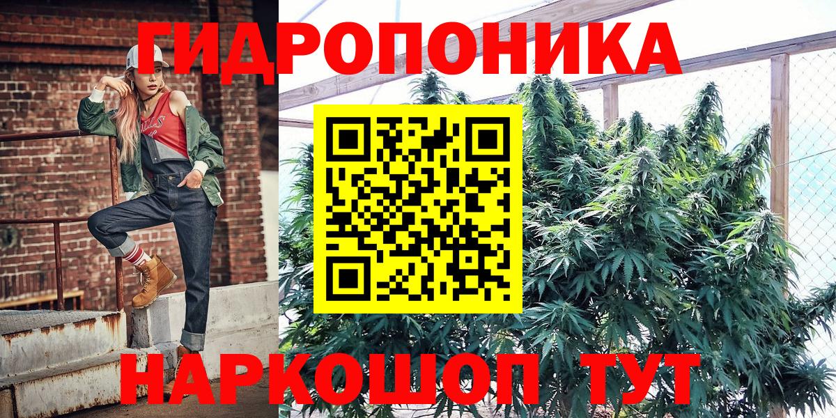 Бошки Шишки план Ессентуки